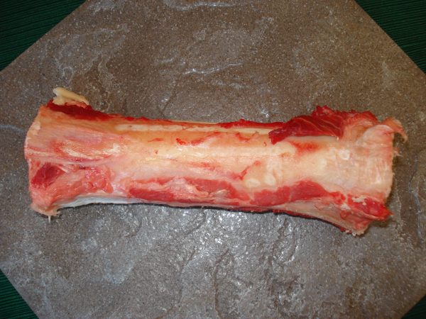Large Fresh Marrow Bone